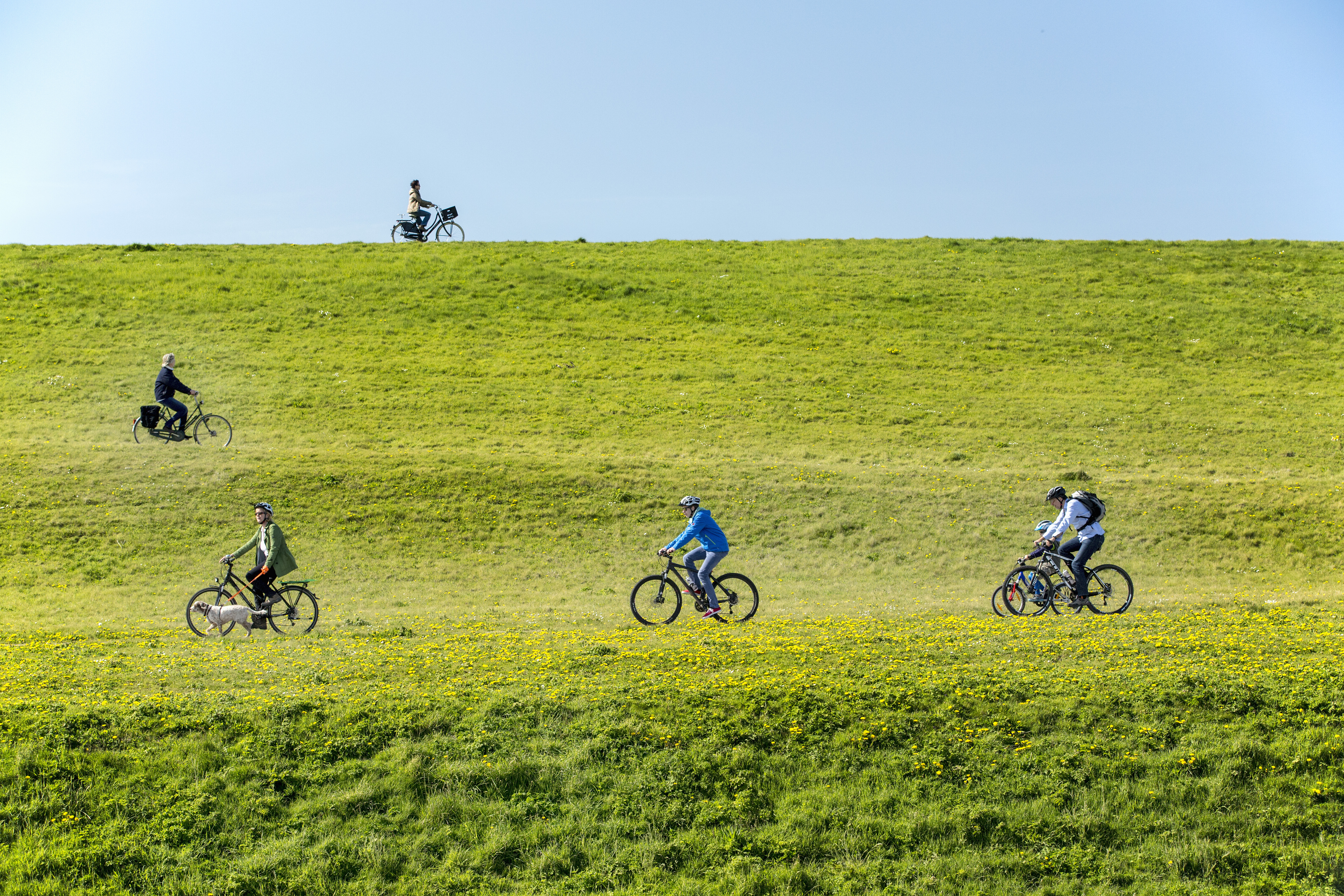 people on bicycles on different stepped levels of a green hilly landscape 