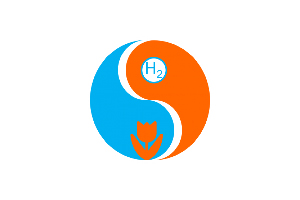 HyNed Logo