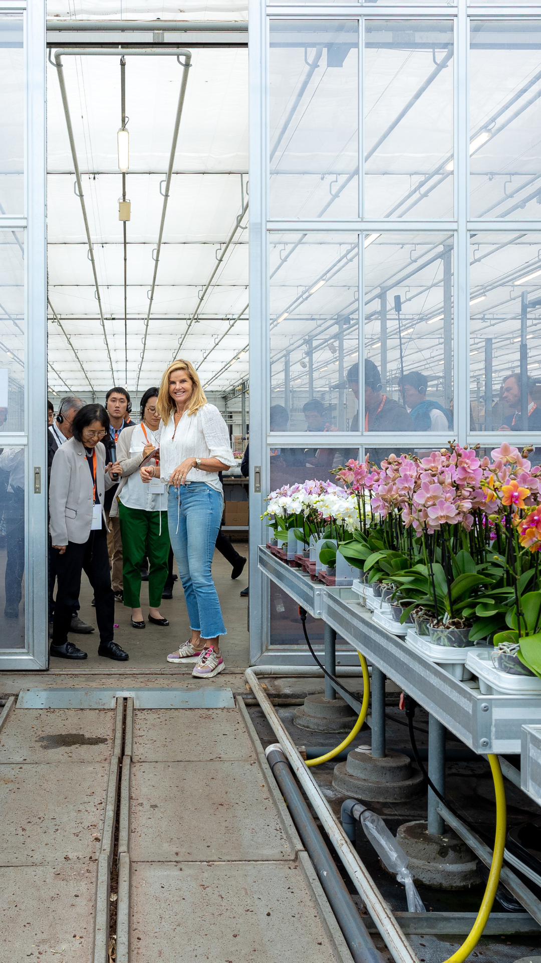 A tour through a greenhouse growing orchids.