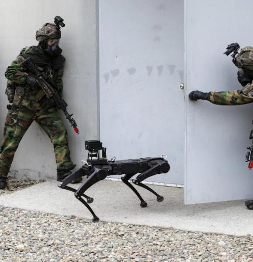 Military robot dog